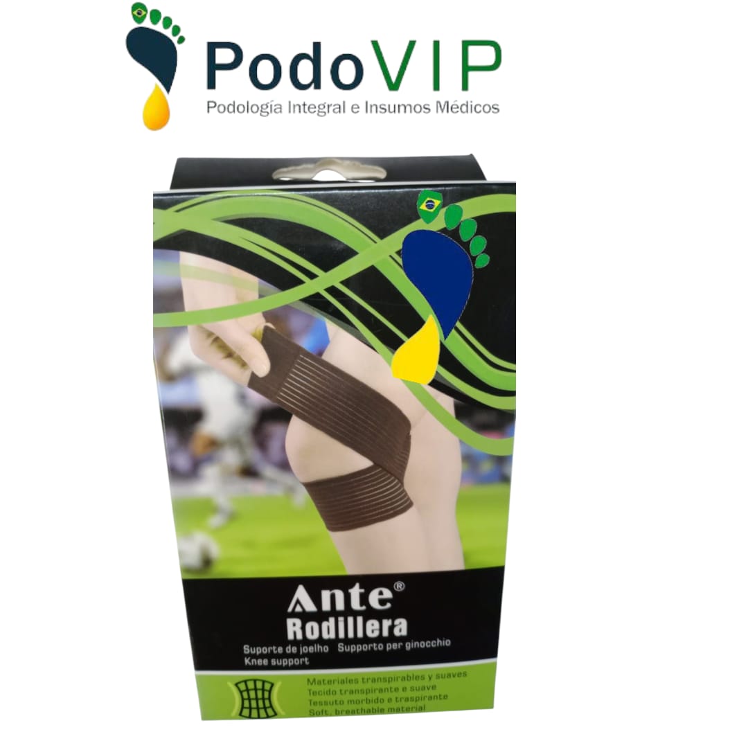 Antirrodillera economica