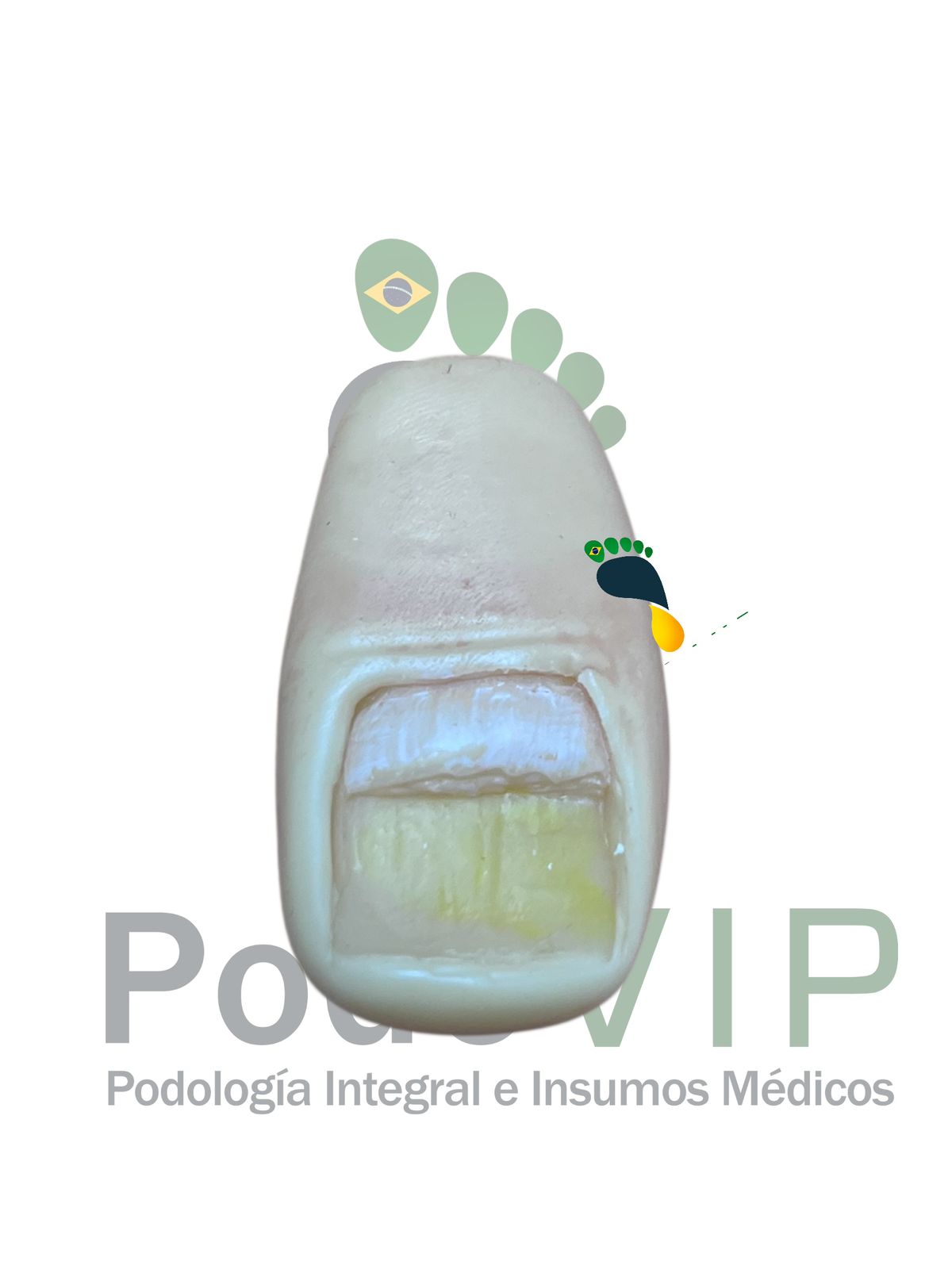 Dedo de Practica Reconstruccion Ungueal